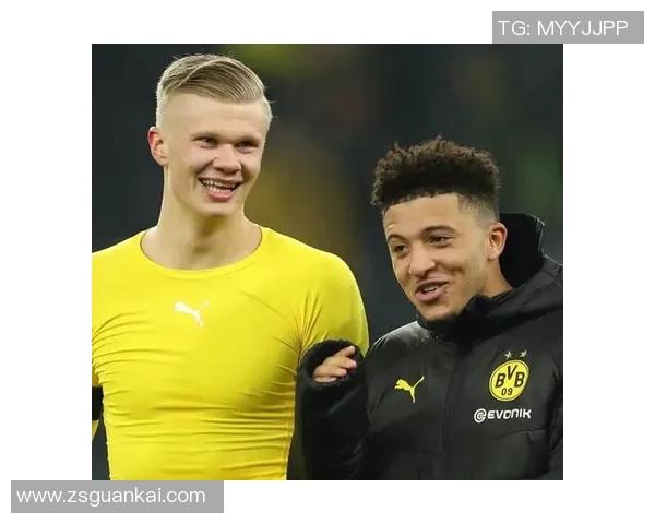 《鲜为人知的多特蒙德十大冷知识揭晓 一起探索黄黑军团背后的秘密》